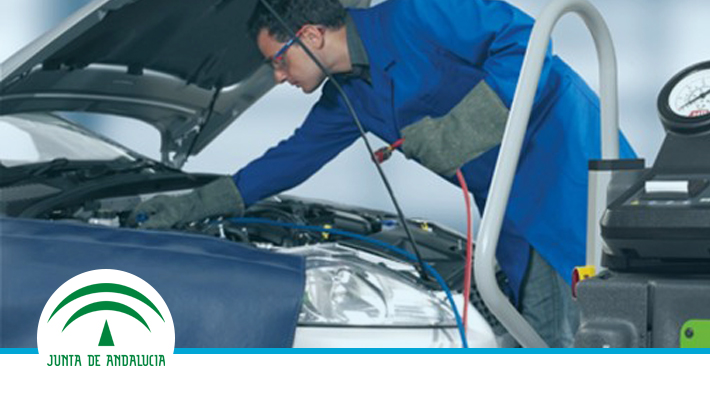 Manipulador de gases fluorados en centros autorizados de vehículos fuera de su uso. PF9.