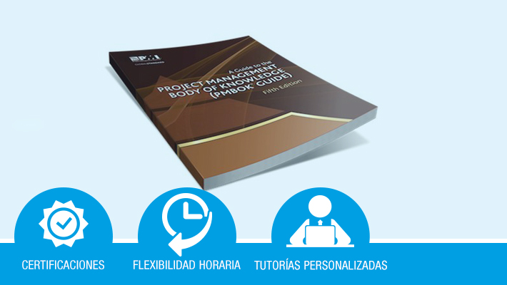 Gestión de proyectos: guía para entender y leer con éxito el PMBOK