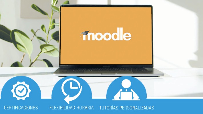 Moodle para profesores