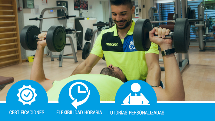 Entrenador Personal (Personal Trainer)*