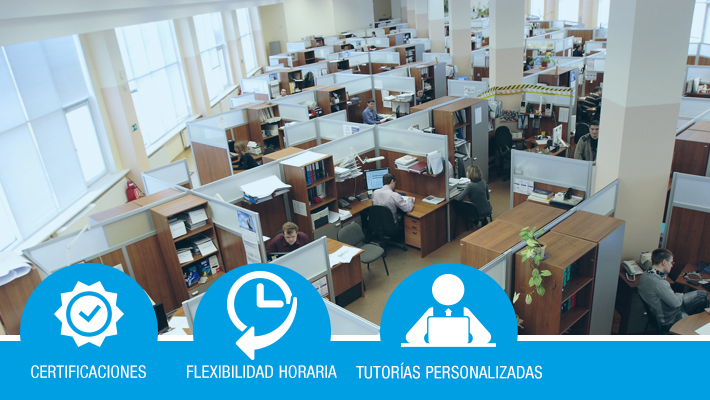 Organización, Prevención y Seguridad*