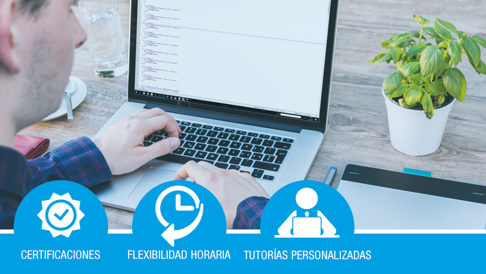 Programación Web II*