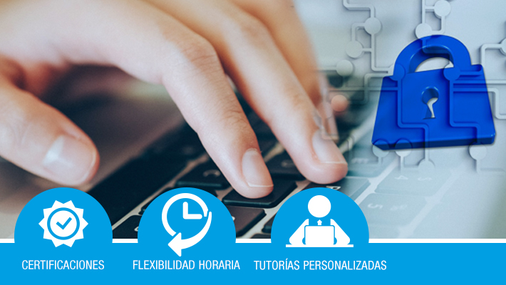 Delegado de protección de datos *