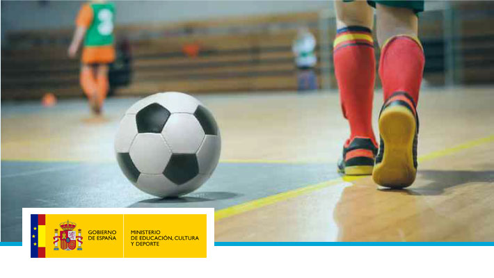 Técnico Deportivo de Fútbol Sala. Nivel II