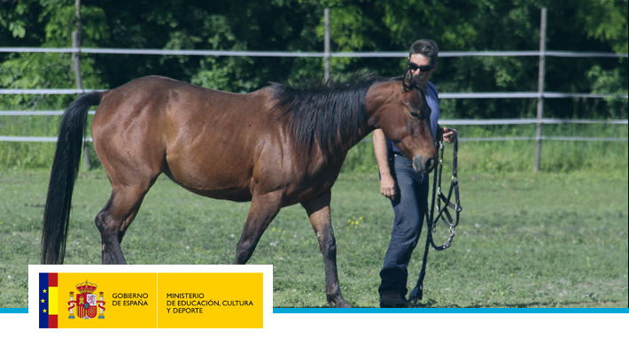 Pruebas de Acceso. Técnico Deportivo de Hípica. Nivel I