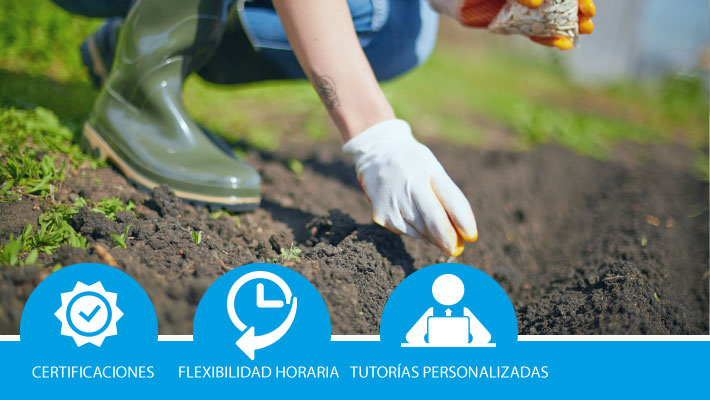 Operaciones auxiliares de preparación del terreno, plantación y siembra de cultivos agrícolas