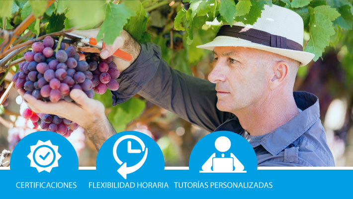 Operaciones culturales en los cultivos y de mantenimiento de instalaciones en explotaciones agrícolas