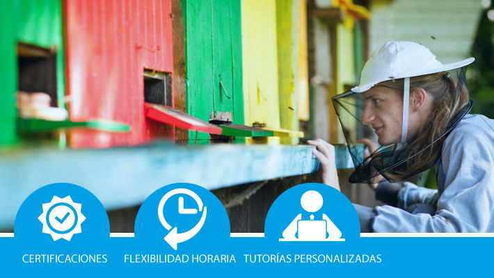 Determinación del tipo de explotación e instalación del colmenar en aplicultura