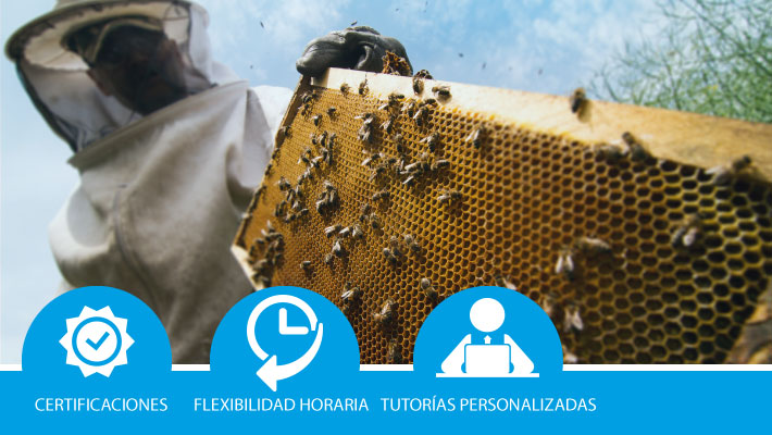 Obtención y acondicionamiento de los productos de las colmenas en aplicultura