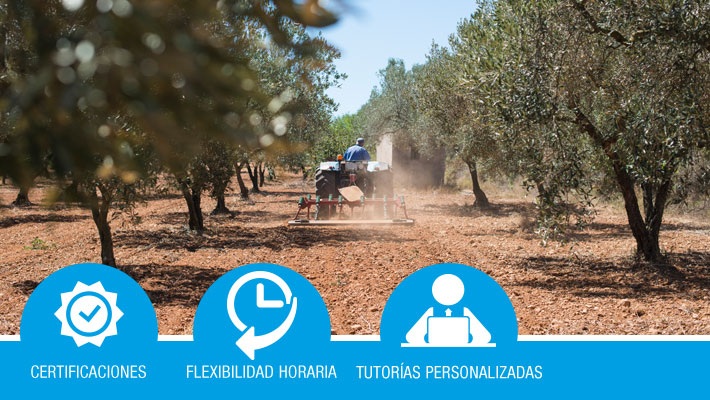Preparación del terreno y plantación de frutales