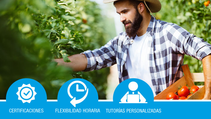 Operaciones culturales y recolección de frutas