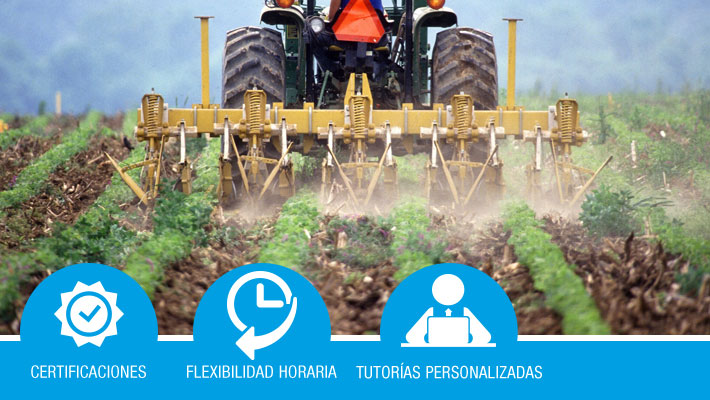 Control fitosanitario