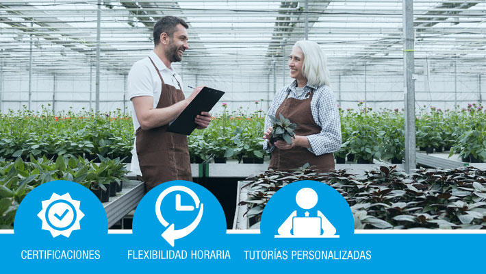 Gestión de la producción de plantas y tepes en vivero
