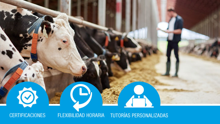 Instalaciones, maquinaria y equipos de explotación ganadera*