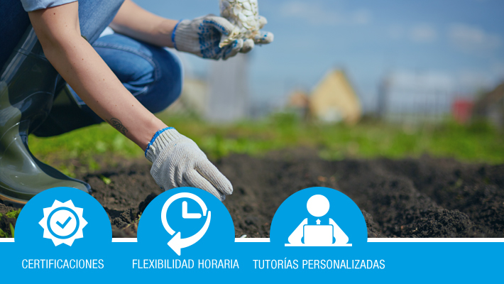 Prevención Riesgos Laborales en Sector Agrícola *