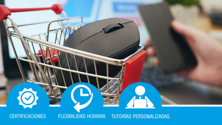 Negocios online y comercio electrónico *