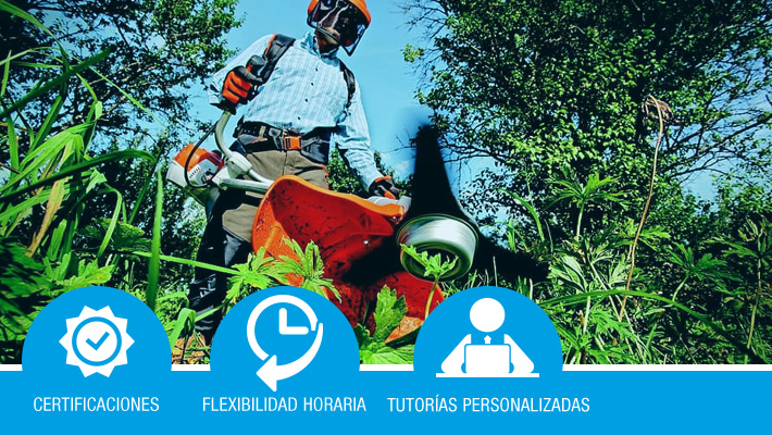 Operaciones de desbroce (bonificado)