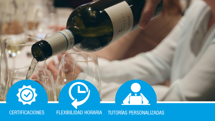 Cata de vinos. Maridaje. Sumiller *