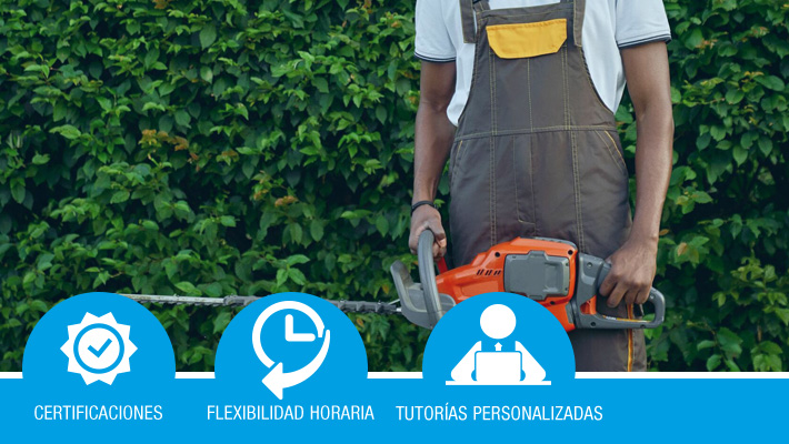 Técnicas de poda (Bonificado)