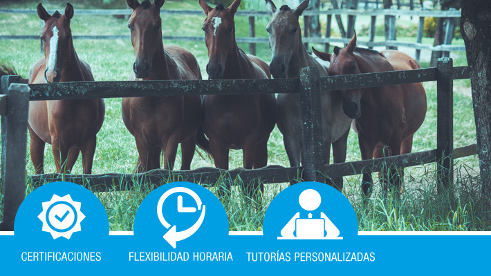 BIENESTAR ANIMAL EN EL TRANSPORTE DE ANIMALES VIVOS