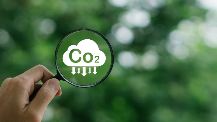 CAMBIO CLIMÁTICO Y HUELLA DE CARBONO *