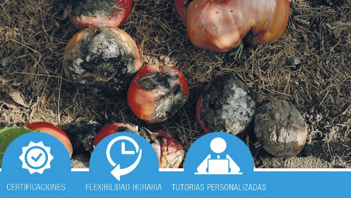 Prevención y Reducción del Desperdicio Alimentario en la Cadena de Suministro