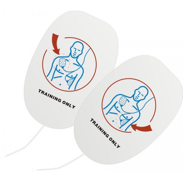 Electrodos Trainer 120 C+