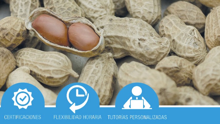 Alérgenos e intolerancias en la industria alimentaria