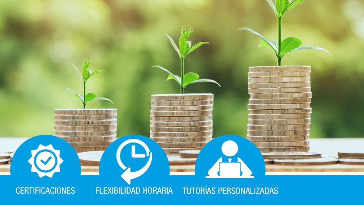 Proyectos de Inversión